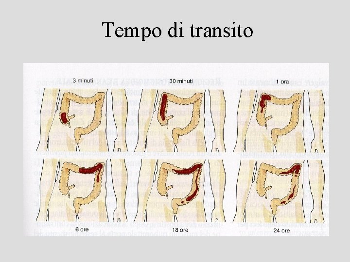 Tempo di transito 