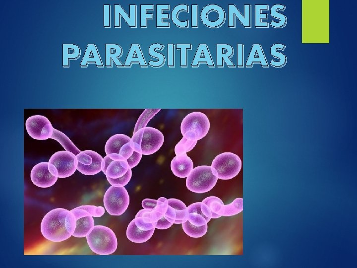 INFECIONES PARASITARIAS 