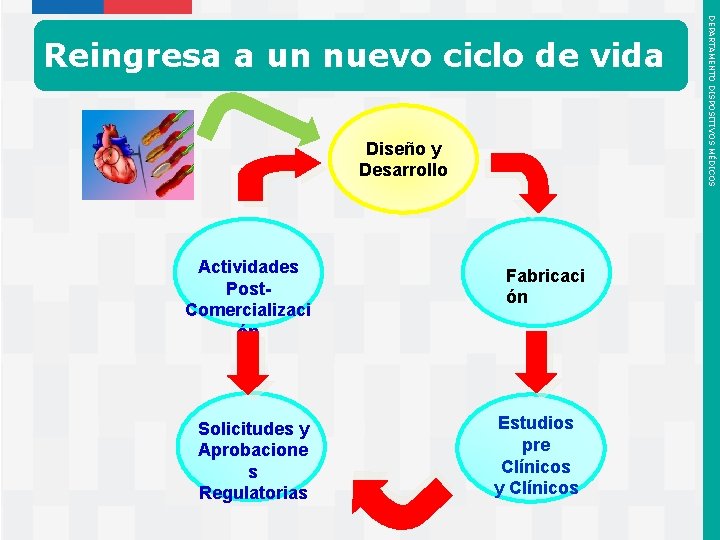 Diseño y Desarrollo Actividades Post. Comercializaci ón Solicitudes y Aprobacione s Regulatorias Instituto de