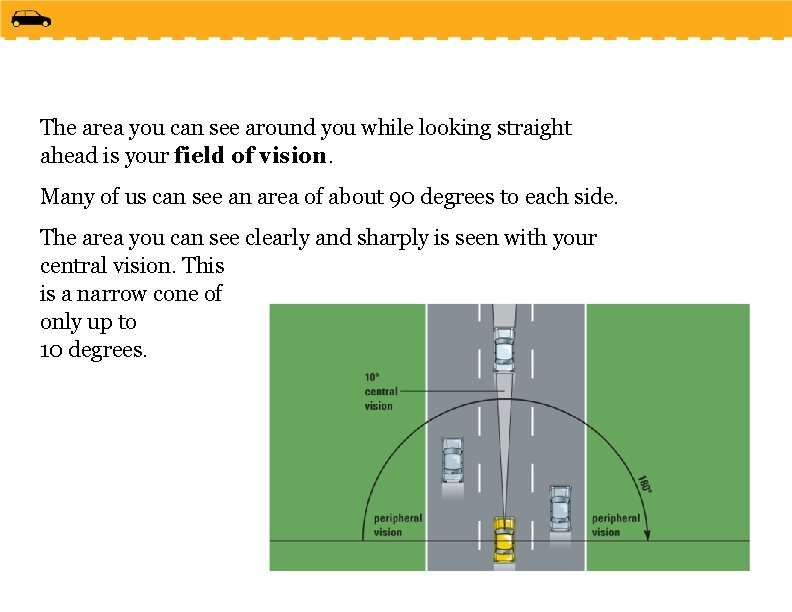 The area you can see around you while looking straight ahead is your field