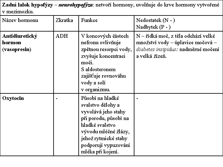 Zadní lalok hypofýzy – neurohypofýza: netvoří hormony, uvolňuje do krve hormony vytvořené v mezimozku.