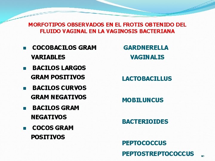 MORFOTIPOS OBSERVADOS EN EL FROTIS OBTENIDO DEL FLUIDO VAGINAL EN LA VAGINOSIS BACTERIANA n MORFOTIPOS OBSERVADOS EN EL FROTIS OBTENIDO DEL FLUIDO VAGINAL EN LA VAGINOSIS BACTERIANA n