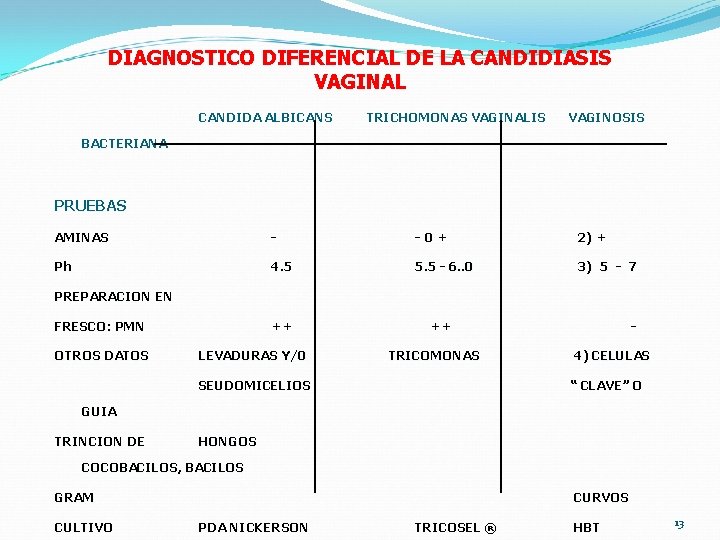 DIAGNOSTICO DIFERENCIAL DE LA CANDIDIASIS VAGINAL CANDIDA ALBICANS TRICHOMONAS VAGINALIS VAGINOSIS BACTERIANA PRUEBAS AMINAS DIAGNOSTICO DIFERENCIAL DE LA CANDIDIASIS VAGINAL CANDIDA ALBICANS TRICHOMONAS VAGINALIS VAGINOSIS BACTERIANA PRUEBAS AMINAS