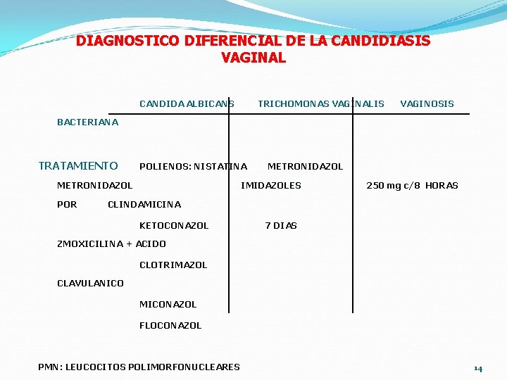 DIAGNOSTICO DIFERENCIAL DE LA CANDIDIASIS VAGINAL CANDIDA ALBICANS TRICHOMONAS VAGINALIS VAGINOSIS BACTERIANA TRATAMIENTO POLIENOS: DIAGNOSTICO DIFERENCIAL DE LA CANDIDIASIS VAGINAL CANDIDA ALBICANS TRICHOMONAS VAGINALIS VAGINOSIS BACTERIANA TRATAMIENTO POLIENOS: