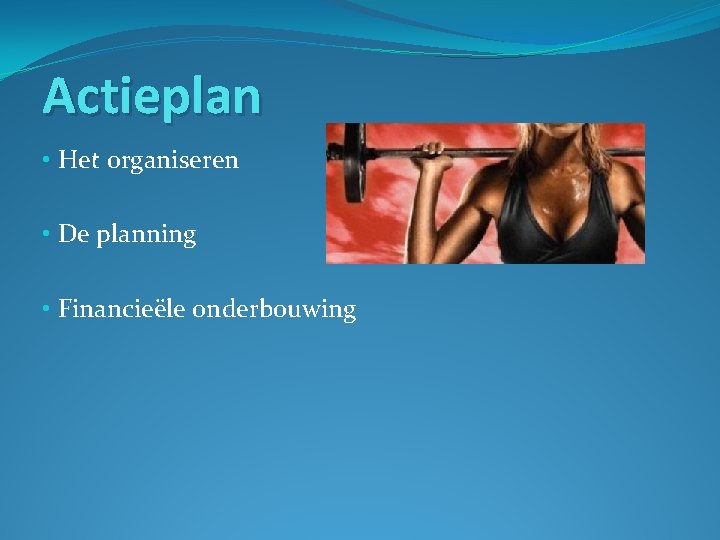 Actieplan • Het organiseren • De planning • Financieële onderbouwing 