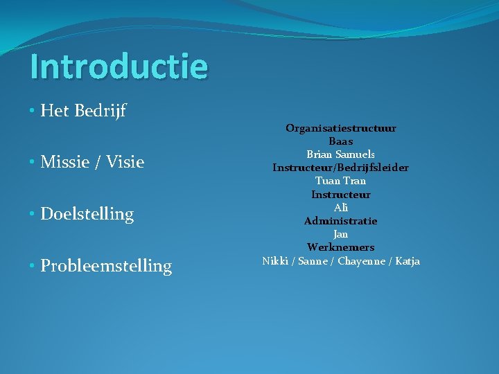 Introductie • Het Bedrijf • Missie / Visie • Doelstelling • Probleemstelling Organisatiestructuur Baas