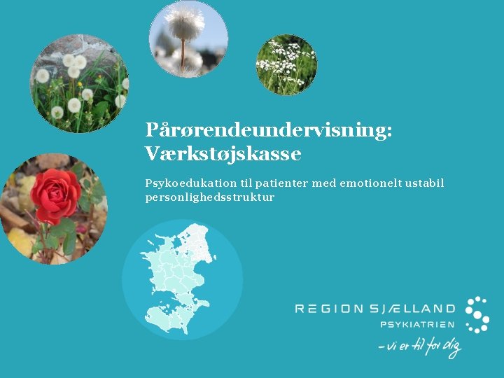 Pårørendeundervisning: Værkstøjskasse Psykoedukation til patienter med emotionelt ustabil personlighedsstruktur 