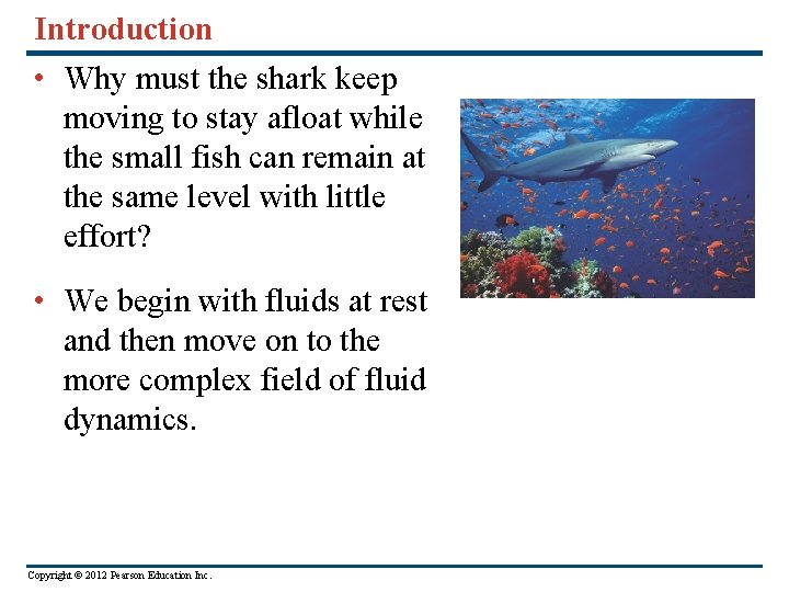 Introduction • Why must the shark keep moving to stay afloat while the small