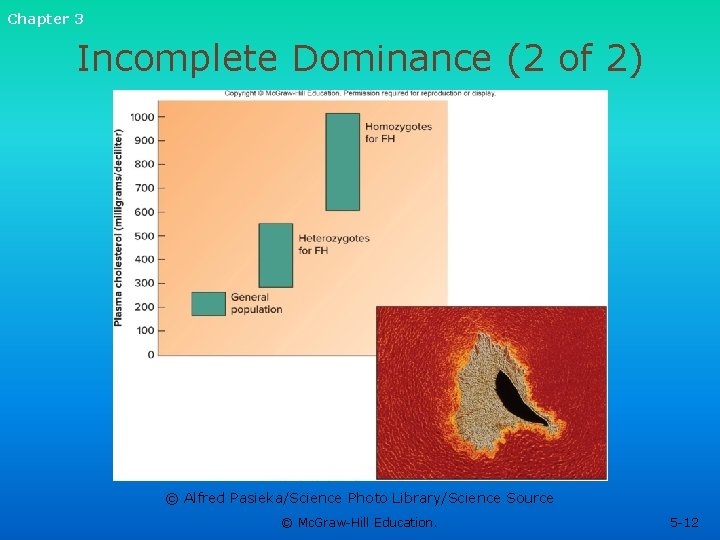 Chapter 3 Incomplete Dominance (2 of 2) © Alfred Pasieka/Science Photo Library/Science Source © Chapter 3 Incomplete Dominance (2 of 2) © Alfred Pasieka/Science Photo Library/Science Source ©
