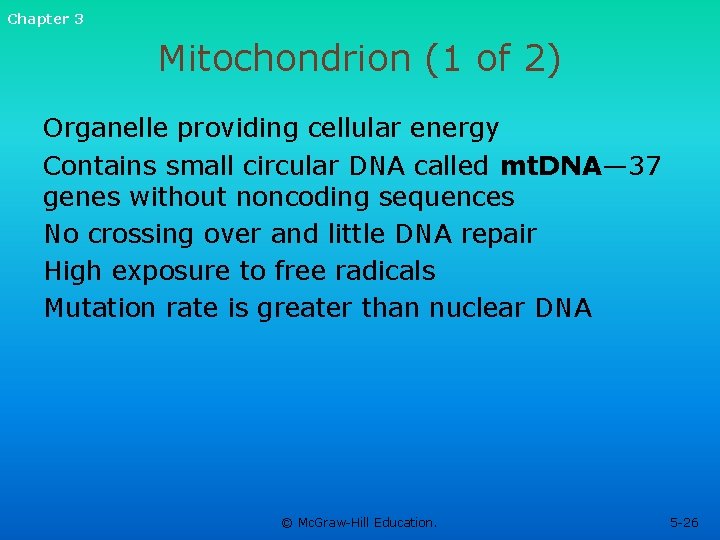 Chapter 3 Mitochondrion (1 of 2) Organelle providing cellular energy Contains small circular DNA Chapter 3 Mitochondrion (1 of 2) Organelle providing cellular energy Contains small circular DNA