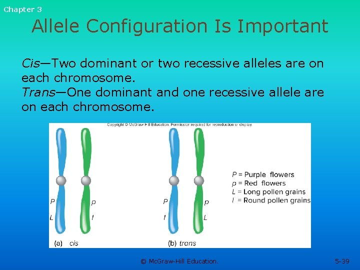 Chapter 3 Allele Configuration Is Important Cis—Two dominant or two recessive alleles are on Chapter 3 Allele Configuration Is Important Cis—Two dominant or two recessive alleles are on