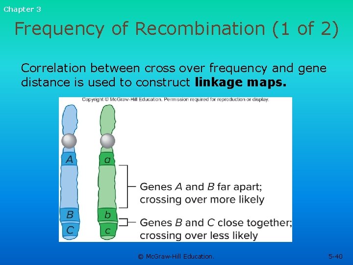 Chapter 3 Frequency of Recombination (1 of 2) Correlation between cross over frequency and Chapter 3 Frequency of Recombination (1 of 2) Correlation between cross over frequency and