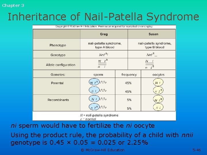 Chapter 3 Inheritance of Nail-Patella Syndrome ni sperm would have to fertilize the ni Chapter 3 Inheritance of Nail-Patella Syndrome ni sperm would have to fertilize the ni