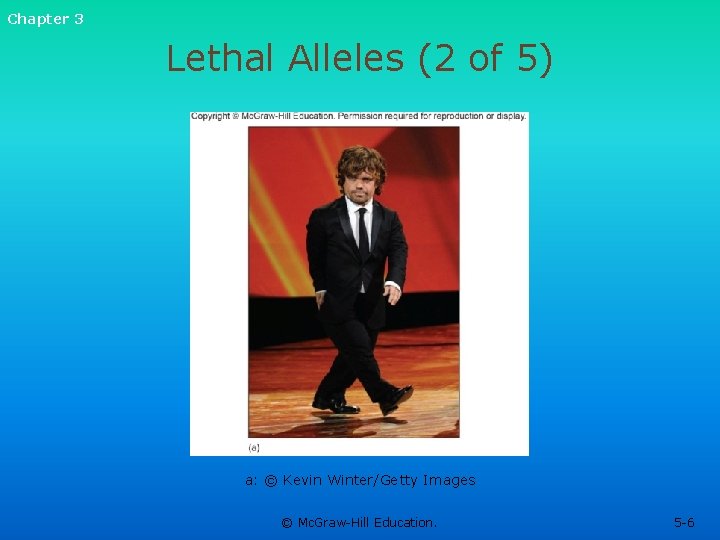 Chapter 3 Lethal Alleles (2 of 5) a: © Kevin Winter/Getty Images © Mc. Chapter 3 Lethal Alleles (2 of 5) a: © Kevin Winter/Getty Images © Mc.