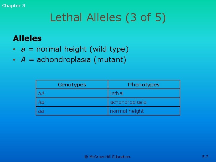 Chapter 3 Lethal Alleles (3 of 5) Alleles • a = normal height (wild Chapter 3 Lethal Alleles (3 of 5) Alleles • a = normal height (wild