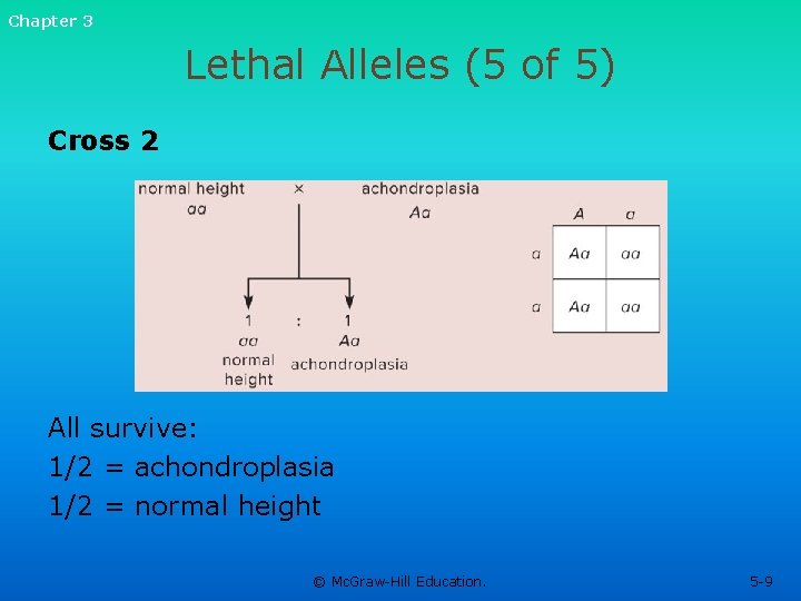 Chapter 3 Lethal Alleles (5 of 5) Cross 2 All survive: 1/2 = achondroplasia Chapter 3 Lethal Alleles (5 of 5) Cross 2 All survive: 1/2 = achondroplasia