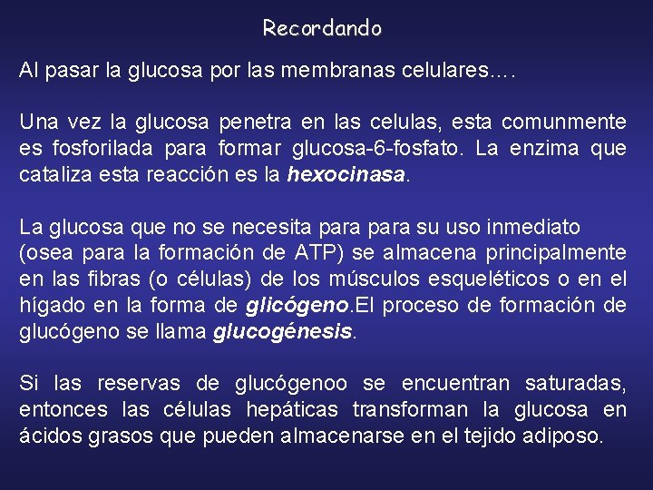 Recordando Al pasar la glucosa por las membranas celulares…. Una vez la glucosa penetra