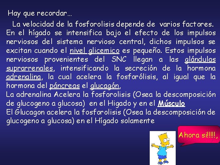 Hay que recordar… La velocidad de la fosforolisis depende de varios factores. En el