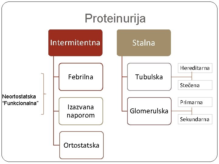 Proteinurija Intermitentna Stalna Hereditarna Febrilna Tubulska Stečena Neortostatska “Funkcionalna” Izazvana naporom Ortostatska Primarna Glomerulska