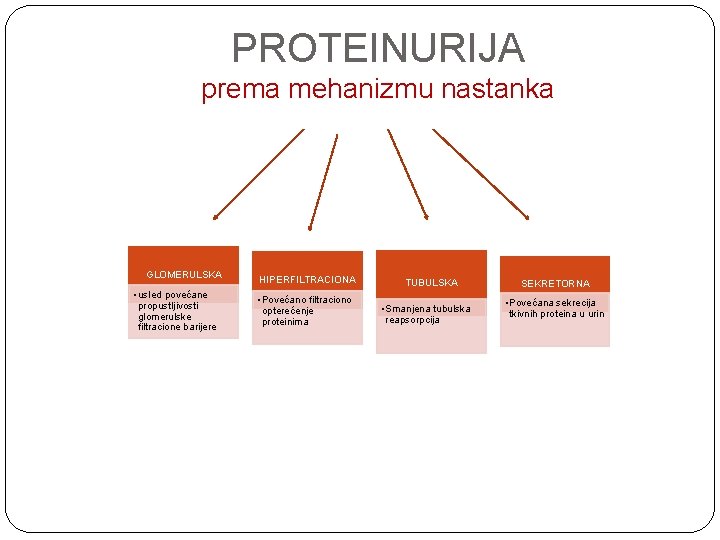 PROTEINURIJA prema mehanizmu nastanka GLOMERULSKA • usled povećane propustljivosti glomerulske filtracione barijere HIPERFILTRACIONA •