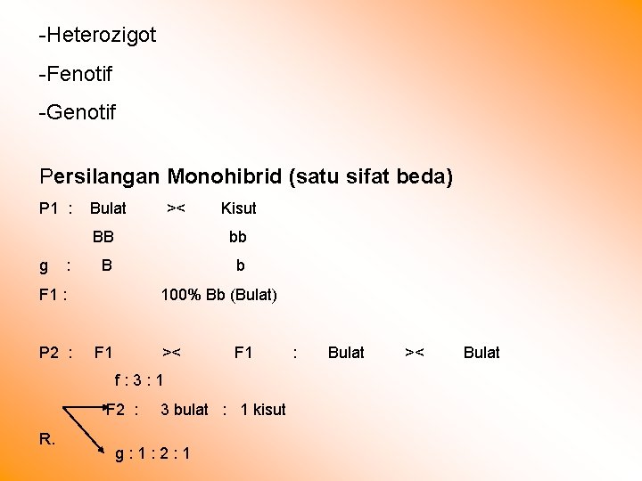 -Heterozigot -Fenotif -Genotif Persilangan Monohibrid (satu sifat beda) P 1 : g : Bulat