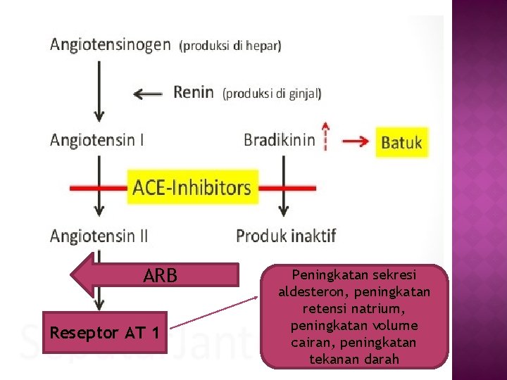 ARB Reseptor AT 1 Peningkatan sekresi aldesteron, peningkatan retensi natrium, peningkatan volume cairan, peningkatan