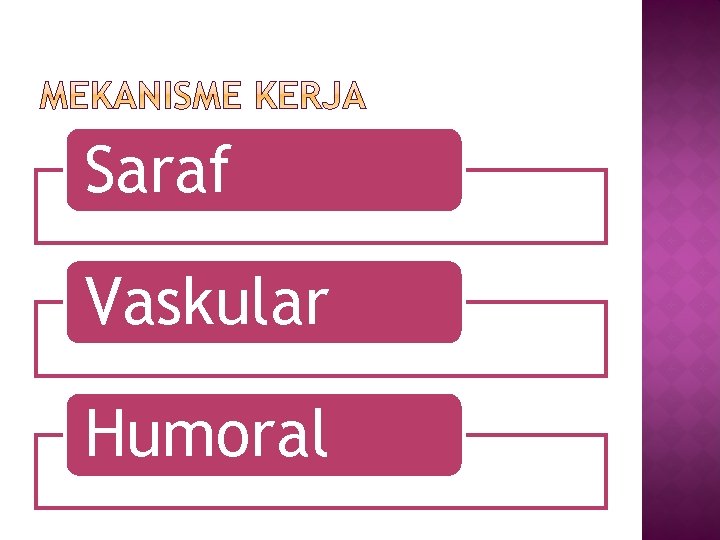 Saraf Vaskular Humoral 