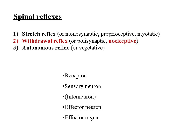 Spinal reflexes 1) Stretch reflex (or monosynaptic, proprioceptive, myotatic) 2) Withdrawal reflex (or polisynaptic,