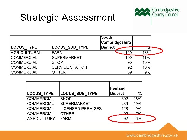 Strategic Assessment 