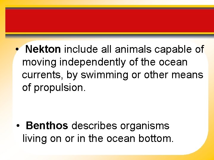  • Nekton include all animals capable of moving independently of the ocean currents,
