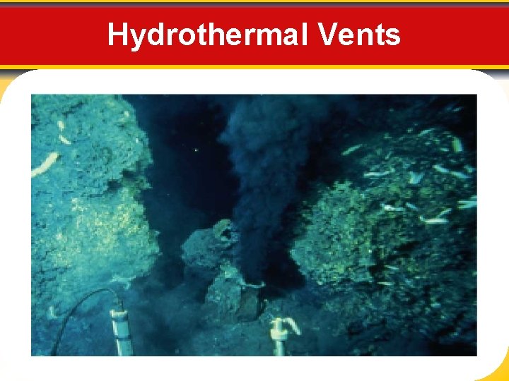 Hydrothermal Vents 
