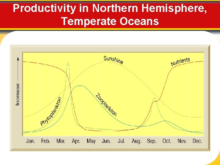 Productivity in Northern Hemisphere, Temperate Oceans 