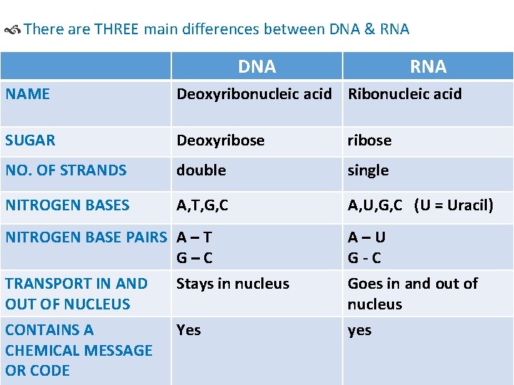  There are THREE main differences between DNA & RNA DNA RNA NAME Deoxyribonucleic