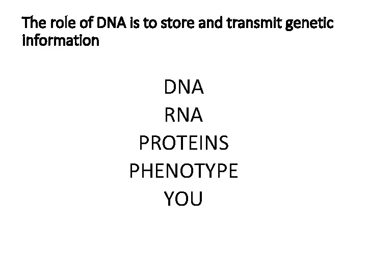 The role of DNA is to store and transmit genetic information DNA RNA PROTEINS