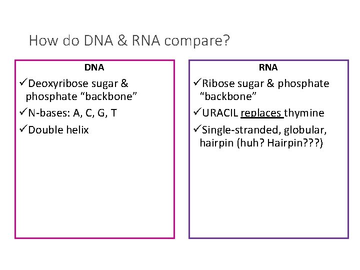 How do DNA & RNA compare? DNA üDeoxyribose sugar & phosphate “backbone” üN-bases: A,