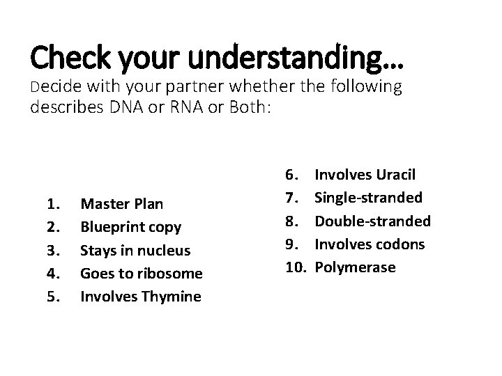 Check your understanding… Decide with your partner whether the following describes DNA or RNA