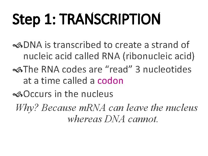 Step 1: TRANSCRIPTION DNA is transcribed to create a strand of nucleic acid called