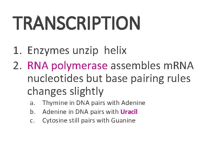 TRANSCRIPTION 1. Enzymes unzip helix 2. RNA polymerase assembles m. RNA nucleotides but base