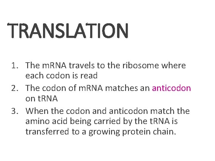 TRANSLATION 1. The m. RNA travels to the ribosome where each codon is read