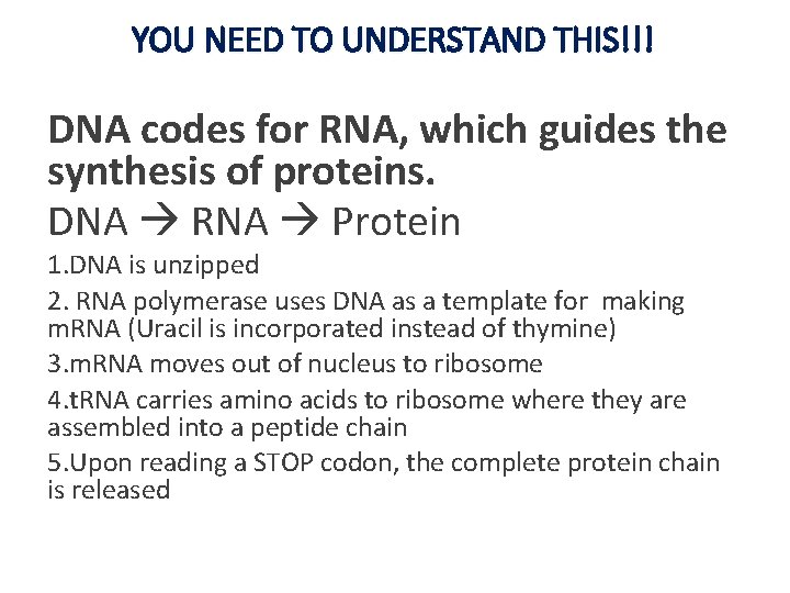 YOU NEED TO UNDERSTAND THIS!!! DNA codes for RNA, which guides the synthesis of