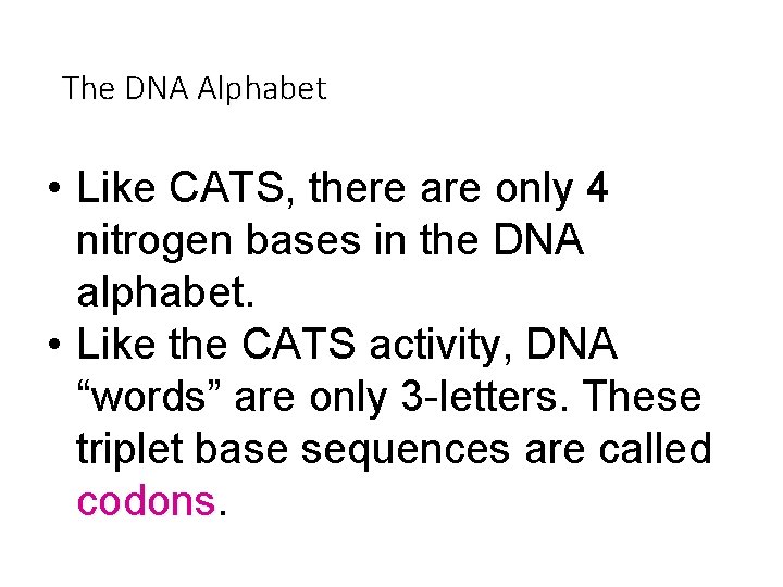 The DNA Alphabet • Like CATS, there are only 4 nitrogen bases in the