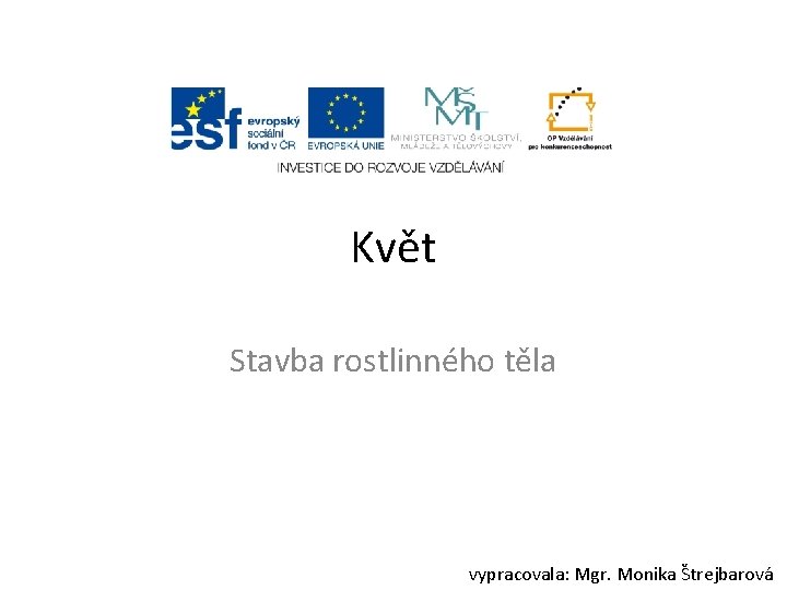 Květ Stavba rostlinného těla vypracovala: Mgr. Monika Štrejbarová 