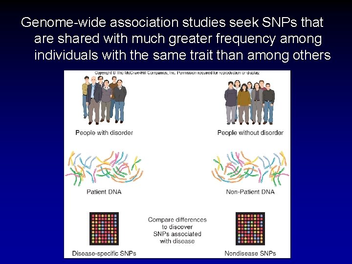 Genome-wide association studies seek SNPs that are shared with much greater frequency among individuals