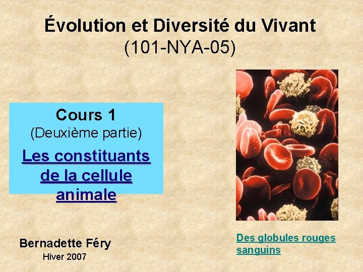 Évolution et Diversité du Vivant (101 -NYA-05) Cours 1 (Deuxième partie) Les constituants de Évolution et Diversité du Vivant (101 -NYA-05) Cours 1 (Deuxième partie) Les constituants de