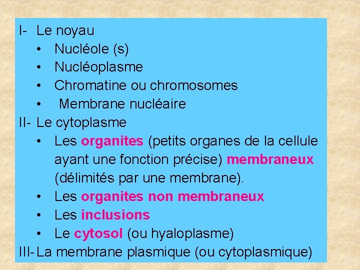 I- Le noyau • Nucléole (s) • Nucléoplasme • Chromatine ou chromosomes • Membrane I- Le noyau • Nucléole (s) • Nucléoplasme • Chromatine ou chromosomes • Membrane