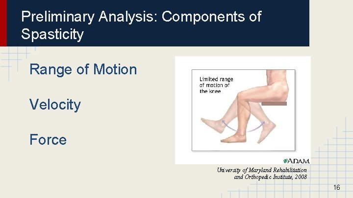Preliminary Analysis: Components of Spasticity Range of Motion Velocity Force University of Maryland Rehabilitation