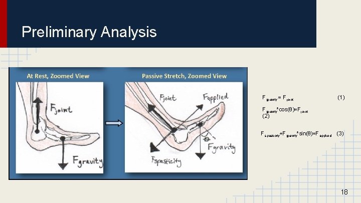 Preliminary Analysis Fgravity = Fjoint (1) Fgravity*cos(θ)=Fjoint (2) Fspasticity+Fgravity*sin(θ)=Fapplied (3) 18 