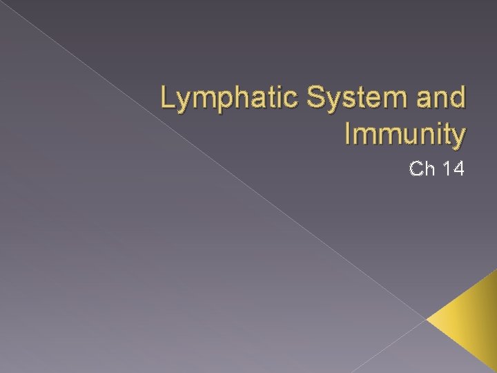 Lymphatic System and Immunity Ch 14 