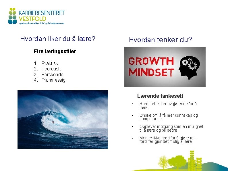 Hvordan liker du å lære? Hvordan tenker du? Fire læringsstiler 1. 2. 3. 4.