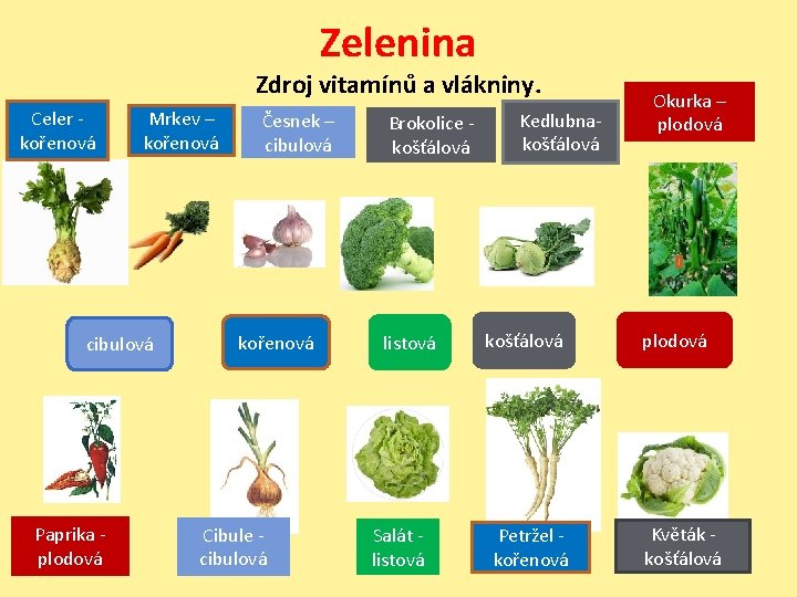 Zelenina Zdroj vitamínů a vlákniny. Celer kořenová Mrkev – kořenová cibulová Paprika - plodová